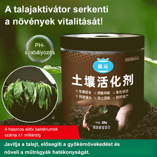 [Tiktok Hot Style] Holtfa virágzás-talajaktivátor-kondicionálás