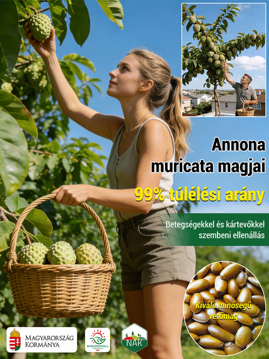 Tüskés annóna magok