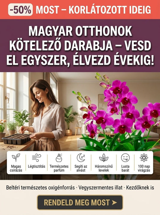 Színes illatos Dendrobium magok