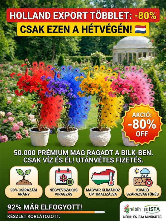【Van víz, van élet】Négyszezonos virágzó kakastaréj magok